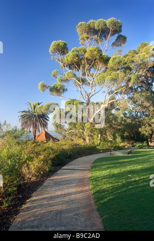 Ein Pfad im Kings Park an einem Sommertag am Morgen. Perth, Western Australia, Australia Stockfoto