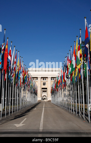 Flagge gesäumten Route führt zu den Palais des Nationen Büros der Vereinten Nationen Genf Schweiz Stockfoto