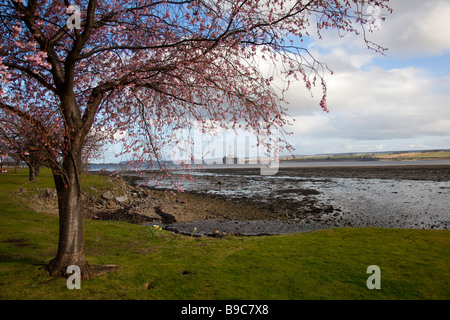 Invergordon, Cromarty Firth im Norden Schottlands, UK Stockfoto