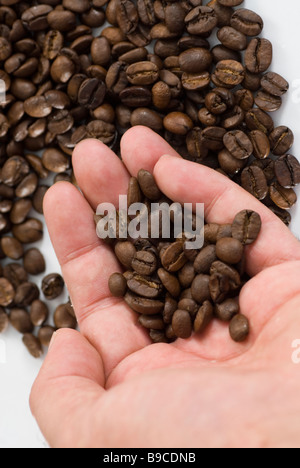 Hand halten Kaffeebohnen Stockfoto