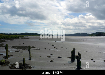 Blick auf die Mündung des Flusses Dee in der Nähe von Kirkcudbright, Dumfries and Galloway, Schottland, Großbritannien Stockfoto