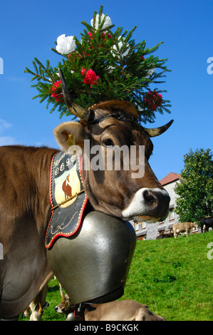 Königin-Kuh dekoriert für das zeremonielle bringen Haus das Vieh von den Almen, Les Charbonnieres, Waadt, Schweiz Stockfoto