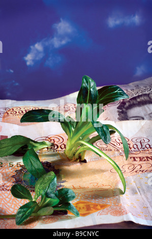 grüne Triebe Erholung UK Wirtschaft Wirtschaftswachstum Stockfoto