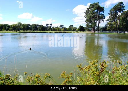 Viktoriasee, Hagley Park, Christchurch, Canterbury, Südinsel, Neuseeland Stockfoto