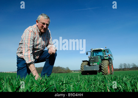 Ein französischer Bauer im Feld Prüfung Anfang Weizenpflanzen Stockfoto