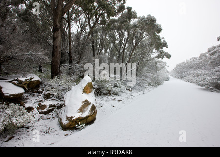 Schnee, Mount William, Grampians, Victoria, Australien Stockfoto