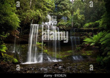 Beliebtes Touristenziel in Mt Field National Park fällt die Russell Stockfoto