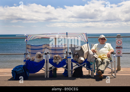 Mann mit Hunden am Meer Sidmouth Devon UK Stockfoto