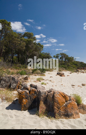 Australischen Strand und Buschlandschaft Szene in der Nähe von Dunsborough, Western Australia Stockfoto