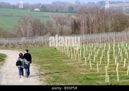 Paare, die durch den Tenterden Weinberg bei kleinen Hythe Kent England Südengland Stockfoto