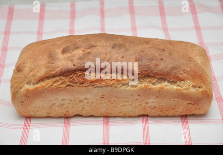 Nahaufnahme von frisch gebackenem Brot Stockfoto