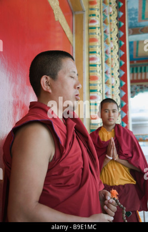 Zwei Mönche beten in einem Kloster, Bodhgaya, Gaya, Bihar, Indien Stockfoto