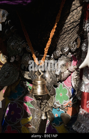 Glocke hängen am Hals ein Elefant, Elephant Festival, Jaipur, Rajasthan, Indien Stockfoto