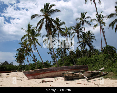 Ngalawas Fischerboote (oft fälschlicherweise als Daus) strandeten unter Palmen aus Zanzibar Stockfoto