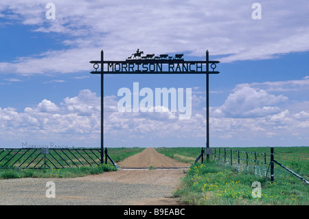 Ranch bearbeitetes Eisen-Gatter auf FM 1081 Straße in der Nähe von Sporn am Great Plains im Kent County Texas USA Stockfoto