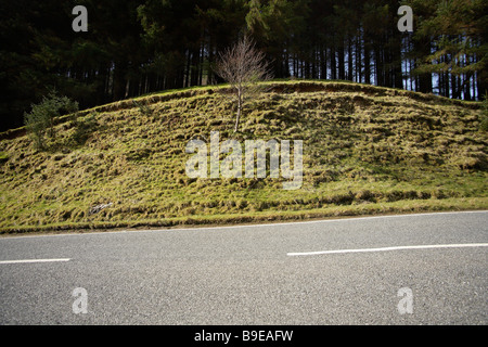 Schottland Highlands Backround, Drop-in Panorama leer Forststraße Stockfoto