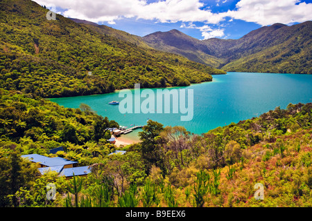 Punga Cove Resort Endeavour Inlet Queen Charlotte Sound Marlborough Südinsel Neuseeland Stockfoto