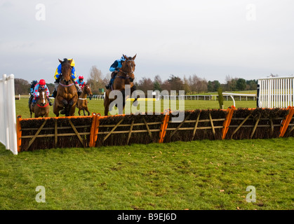 Ein Hürdenlauf bei Market Rasen Rennen, Lincolnshire, England Stockfoto