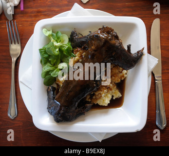 Braten-grau-Eichhörnchen auf eine Zwiebel Risotto im Manor House Inn in den Nordosten Englands serviert und verkauft für £11,95 Stockfoto