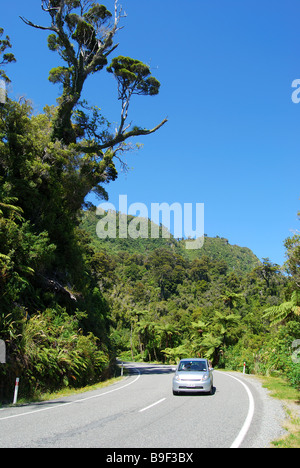 National Highway 6 durch Buschlandschaft, Paparoa National Park, West Coast, Südinsel, Neuseeland Stockfoto