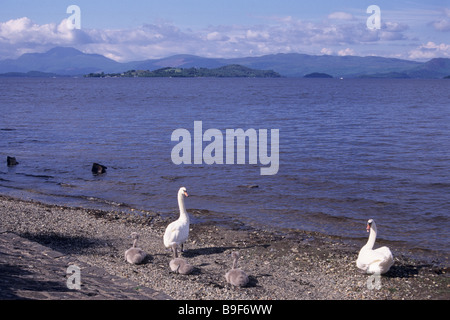 Loch Lomond, schottischen Highlands, UK Stockfoto