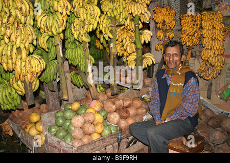 Indische Frucht Verkäufer umgeben von Bananen und Kokosnüsse auf seinem Marktstand, Dibrugarh, Assam Stockfoto