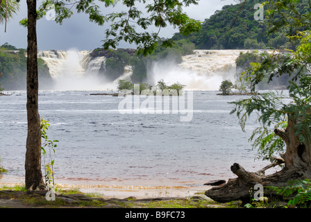 Wasserfälle im Wald, Salto Ucaima, Canaima National Park, La Gran Sabana, Salto Wadaima, Venezuela Stockfoto