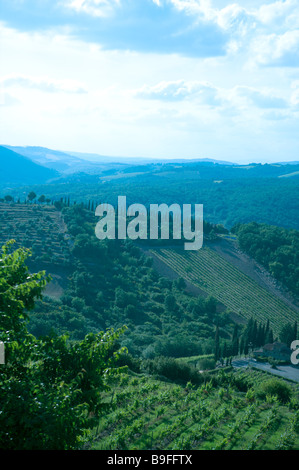 Mit Blick auf Weinberge in der Toskana Italien Stockfoto