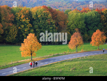 Autumnscene mit Street in Upperfrankonia Bayern Deutschland Stockfoto