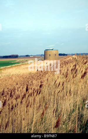 Martello-Turm Y in den Sümpfen Bawdsey Suffolk England Stockfoto