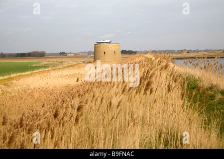 Martello-Turm Y in den Sümpfen Bawdsey Suffolk England Stockfoto