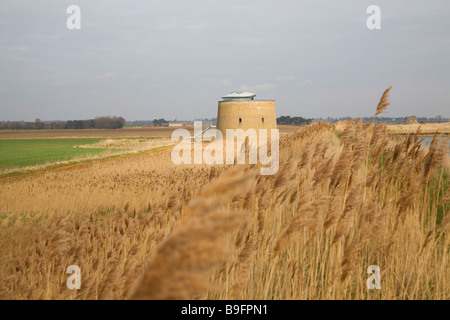 Martello-Turm Y in den Sümpfen Bawdsey Suffolk England Stockfoto