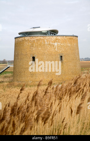 Martello-Turm Y in den Sümpfen Bawdsey Suffolk England Stockfoto