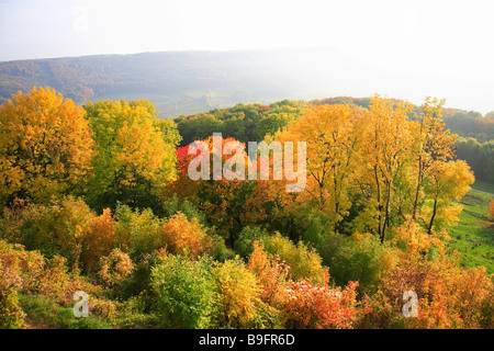 Autumnscene in Upperfrankonia Bayern Deutschland Stockfoto