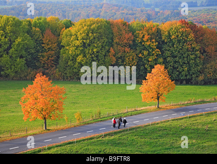 Autumnscene mit Street in Upperfrankonia Bayern Deutschland Stockfoto