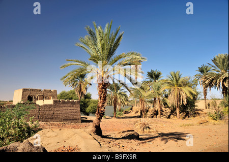 Alte Adobe, Schlamm, Gebäude mit Dattelpalmen und Nil im Hintergrund, im nubischen Abri Dorf im Norden des Sudan, Afrika Stockfoto