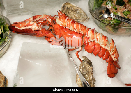 Gekochter Hummer Stockfoto