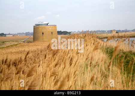 Martello-Turm Y in den Sümpfen Bawdsey Suffolk England Stockfoto