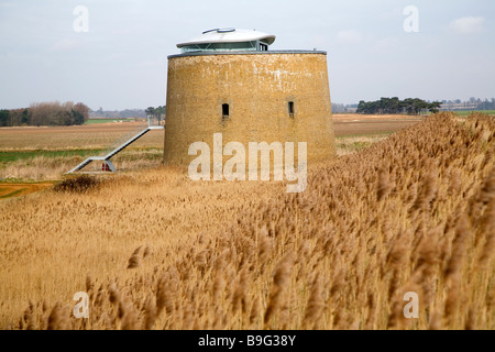 Martello-Turm Y in den Sümpfen Bawdsey Suffolk England Stockfoto