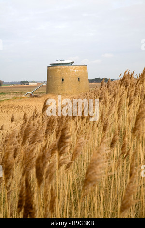 Martello-Turm Y in den Sümpfen Bawdsey Suffolk England Stockfoto