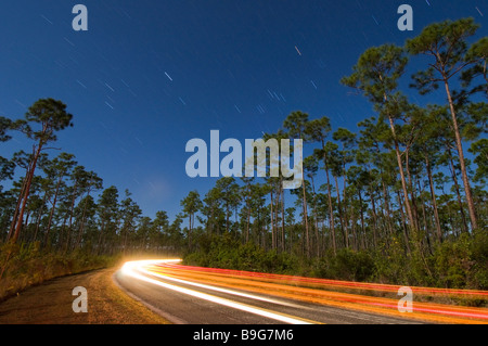 Zeit der Exposition unter Vollmond fängt Sternspuren über Schrägstrich Wald in langen Kiefer Bereich Florida Everglades Nationalpark Stockfoto