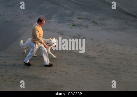 Mann mit weißen elsässischen Hund (Schäferhund) geht am Strand in Kilkee, Westküste Irlands, County Clare Stockfoto