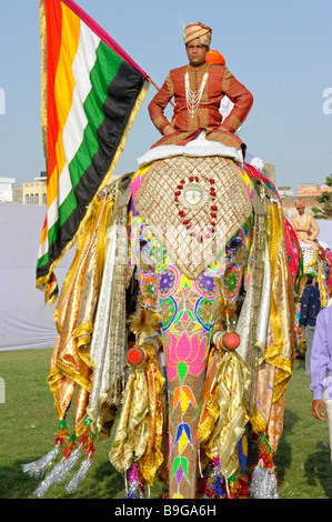 Das Elephant Festival von Jaipur in Rajasthan, Indien Stockfoto