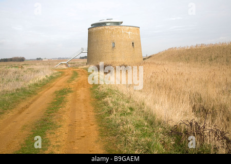 Martello-Turm Y in den Sümpfen Bawdsey Suffolk England Stockfoto