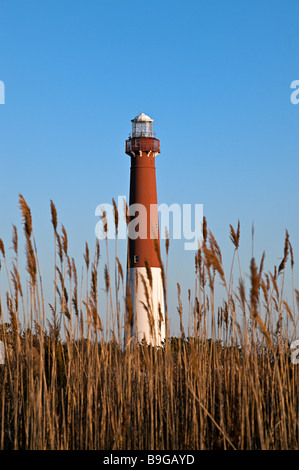 Barnegat Leuchtturm Long Beach Island New Jersey USA Stockfoto