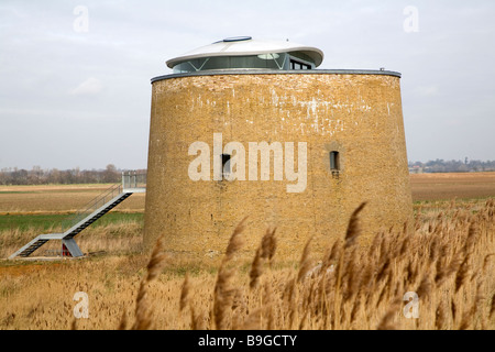 Martello-Turm Y in den Sümpfen Bawdsey Suffolk England Stockfoto