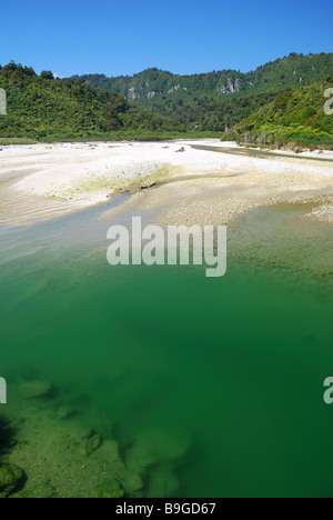 Fox River, Paparoa National Park, West Coast, Südinsel, Neuseeland Stockfoto