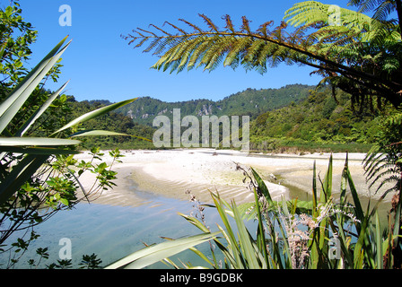 Fox River, Paparoa National Park, West Coast, Südinsel, Neuseeland Stockfoto