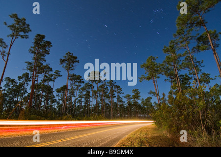 Zeit der Exposition unter Vollmond fängt Auto und Sternspuren über Wald Florida Everglades Nationalpark Stockfoto