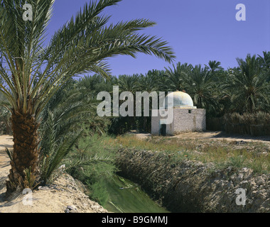 Nordafrika Tunesien Bled El Djerid Tozeur Oase Palmen Haus Bach Afrika Maghreb-Ländern Gebäude Ziegelbau Kuppel Stockfoto